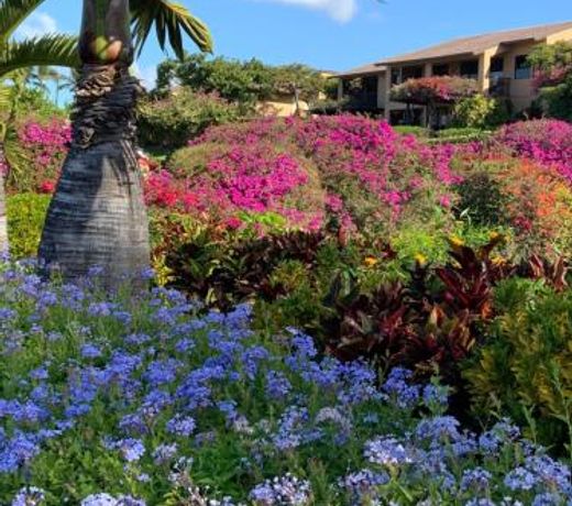 Beach Front King Bed Ocean View Studio in Wailea Ekahi