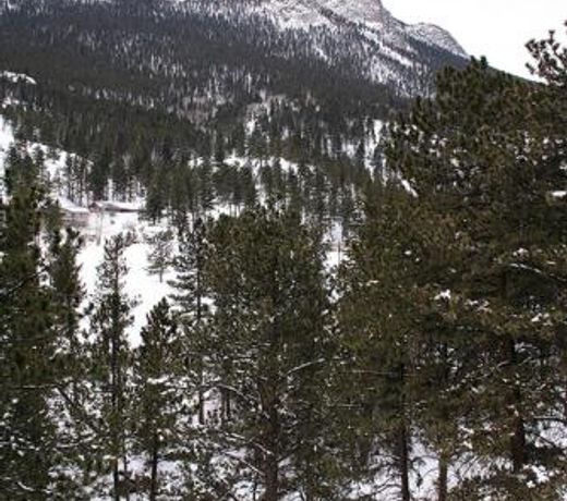 Fawn Valley Inn 3&4 Bedrooms by Rocky Mountain Resorts