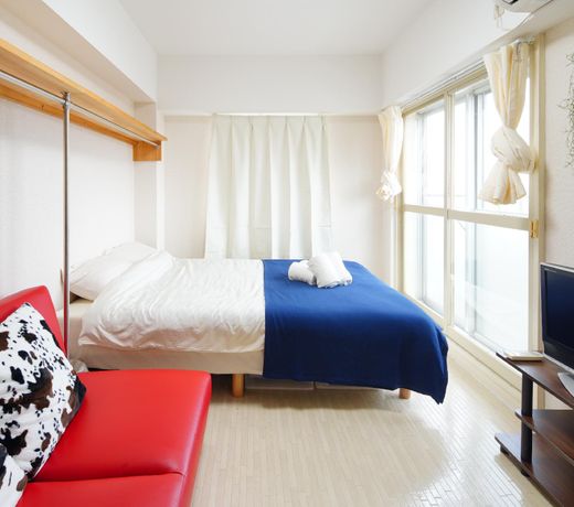 Kameari Cozy Good View Room Tokyo