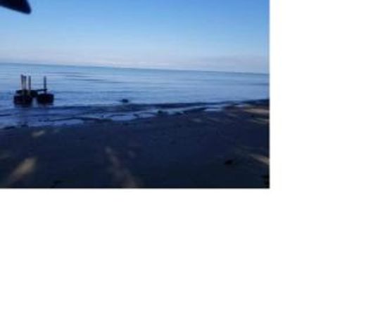 Shane Beach Resort