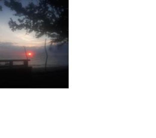 Shane Beach Resort