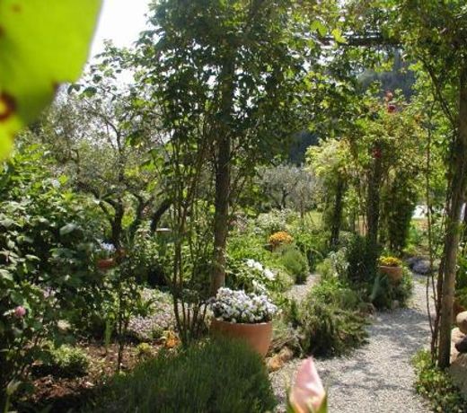 Adorable Tuscan cottage with beautiful garden just outside Lucca, sleeps 4