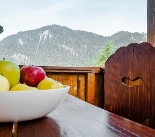 Apartment Dolomites Nest