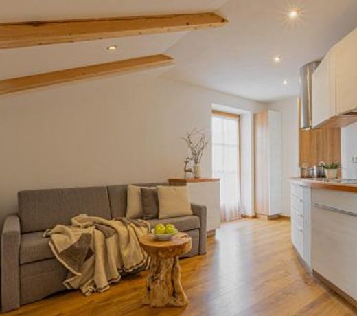 Apartment Dolomites Nest