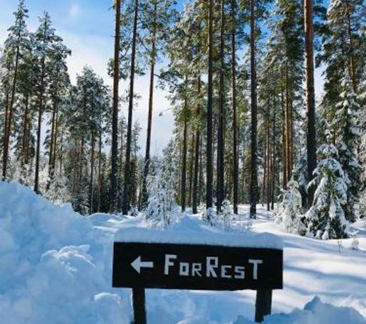 ForRest unikt designat hus mitt i skogen
