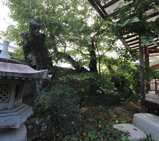 5min from JR GOJO/Private room/Free Parking/WIFI