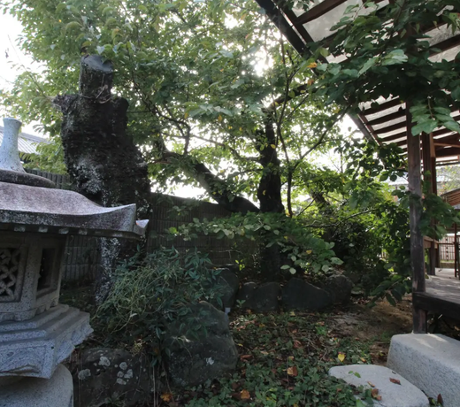 5min from JR GOJO/Private room/Free Parking/WIFI