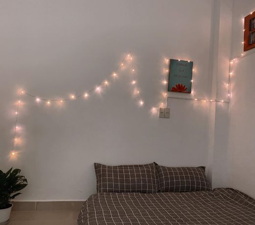 Julita de maison ( wild room)