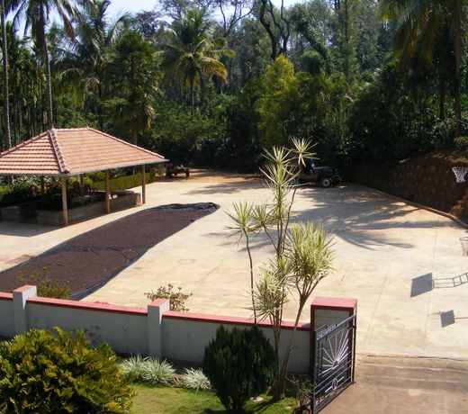 Trip Thrill Serene Home