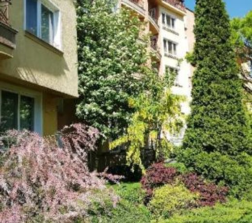Aparthouse Borovo