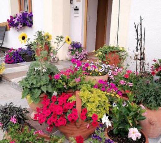 Ferienwohnung Spitzmandl