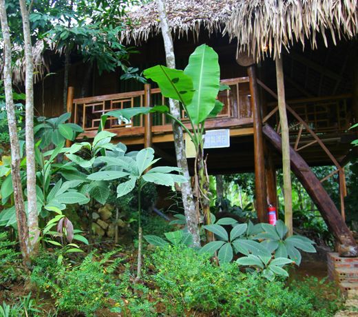 DOUBLE ROOM WITH AMAZING TERRACE RICE FIELD VIEW