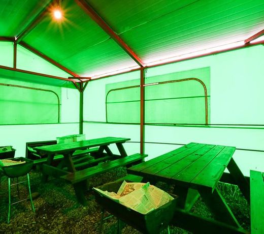 Pohang 5-Island Pension