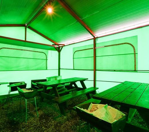 Pohang 5-Island Pension