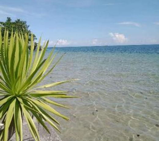 Palhi Resort