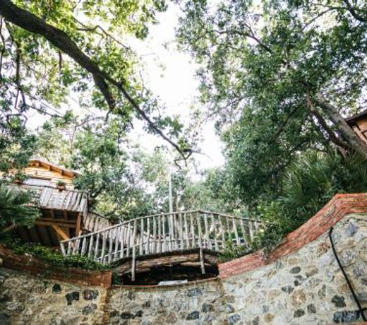 Le casette sull'albero di VILLA ALBA
