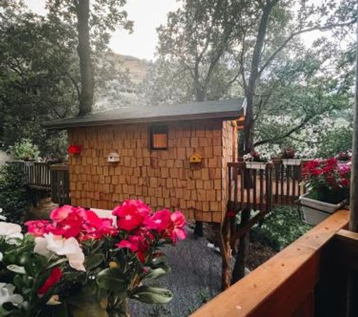 Le casette sull'albero di VILLA ALBA