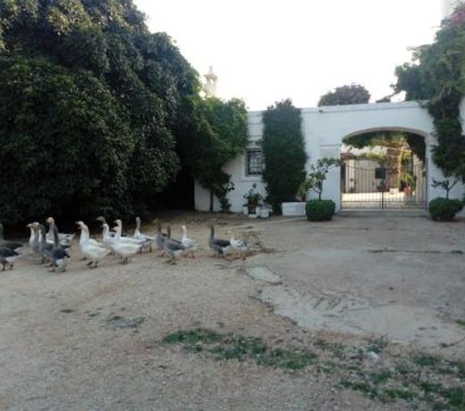 Masseria Parco di Castro