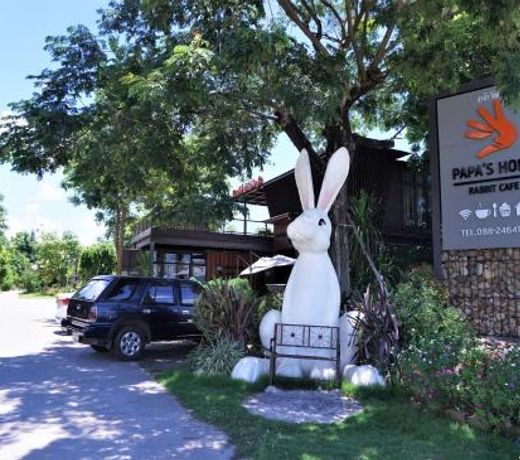 Papa's Home And Rabbit Cafe