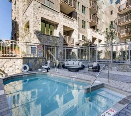 Vail Lion 1 Bed