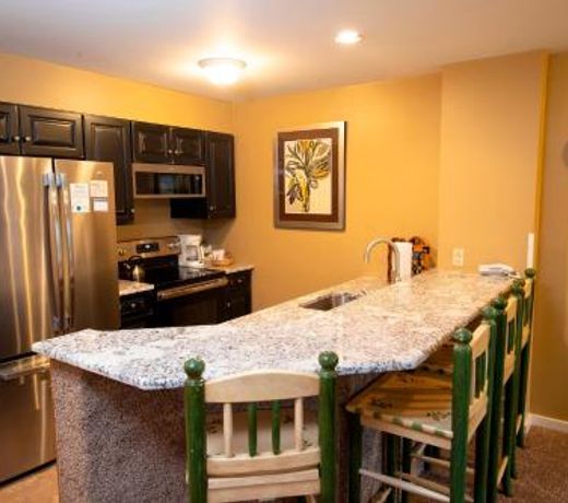 Mountain Lodge at Okemo-1Br Newly Renovated condo