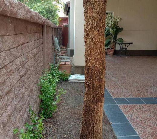 Sankumphang Vararom Villedge UK-6-