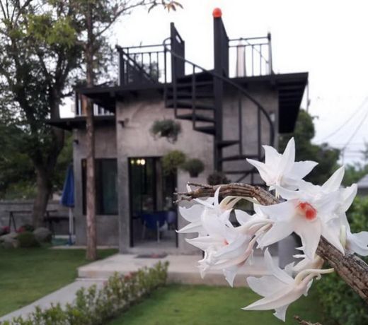 Mountain View House CM-01 Style Resort