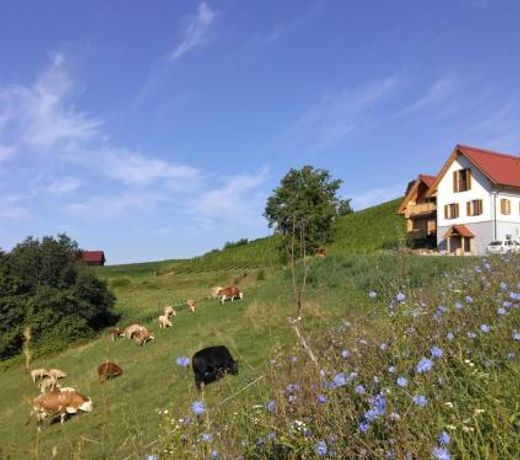 Bauernhof Gschmeidler