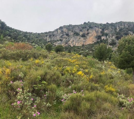 "Aux Balcons du Riou" avec vue mer 180 degres