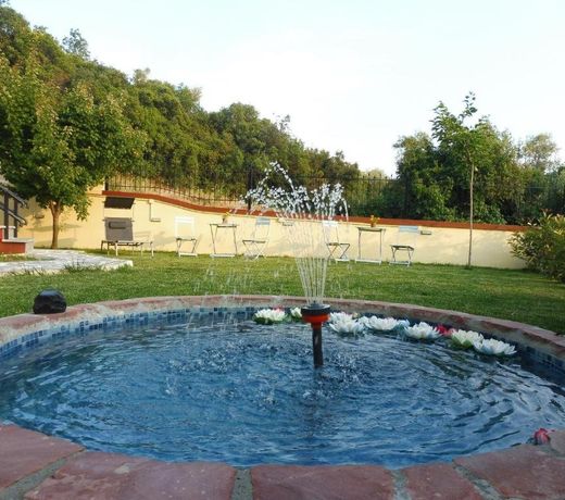 Helianthos Villa - Apartment No3