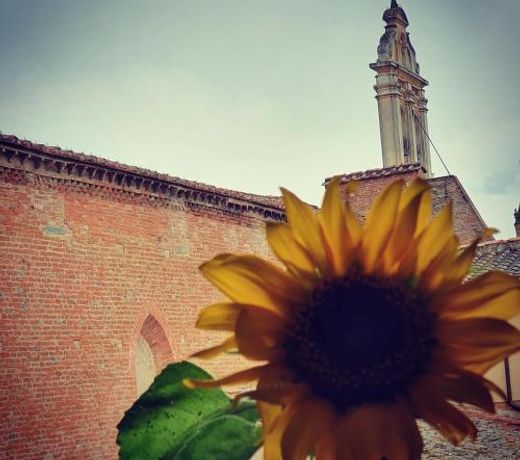 APPARTAMENTS SAN FRANCESCO