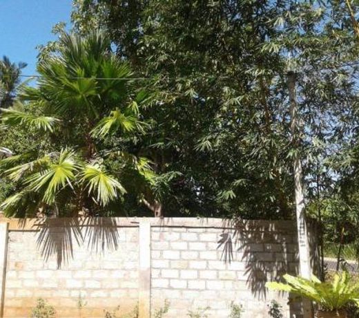Cannel View Holiday Resort