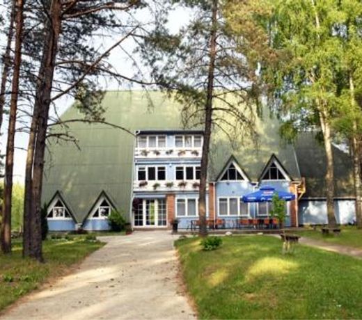 Å ienainis