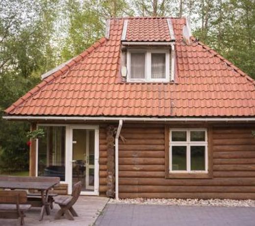 Å ienainis