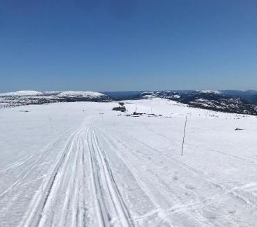 Tuddal Hyttegrend HYTTA KÃNS