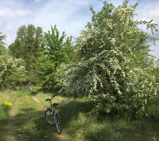 Agroturystyka Kobylnica nad WisÅÄ