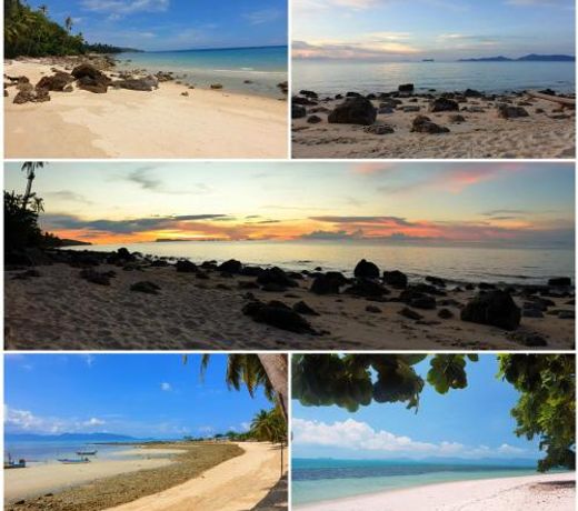 Samui Blue Bird