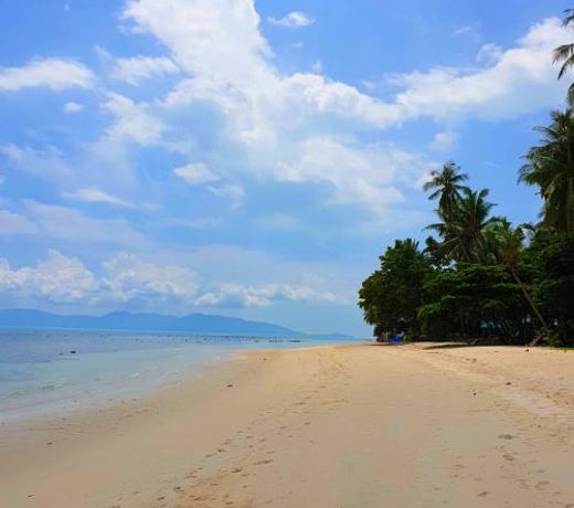 Samui Blue Bird