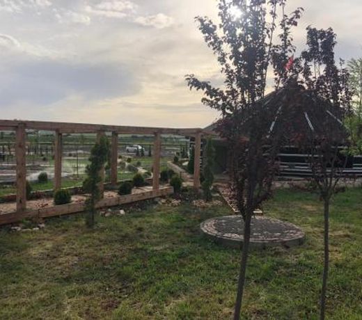Gobeklitepe Cadır saray