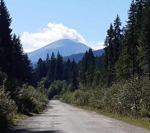 ÐÐ¾Ð²ÐµÑÐ»ÑÐ½ÐºÐ°