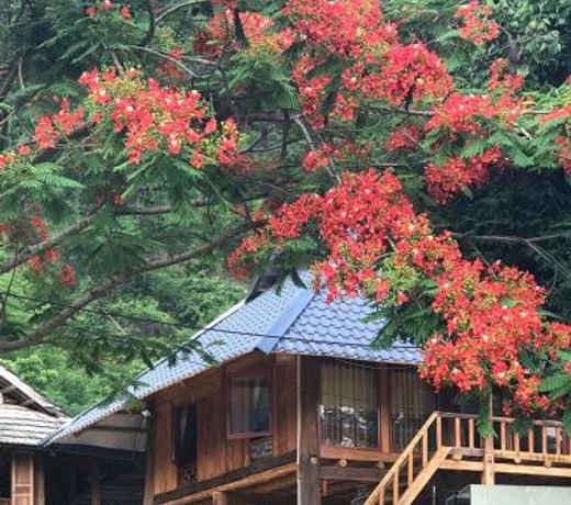 Tan Homestay