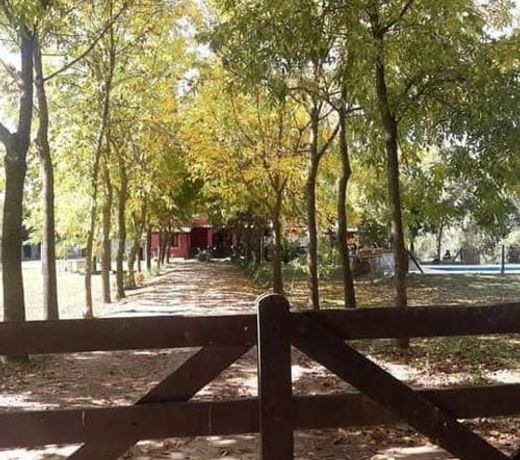 Complejo Oasis Campero - Casas de Campo