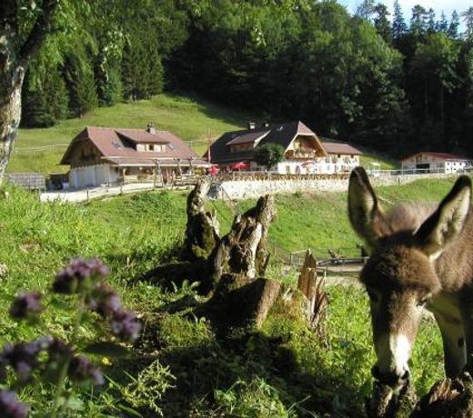 Ferienwohnung Hochsteinalm