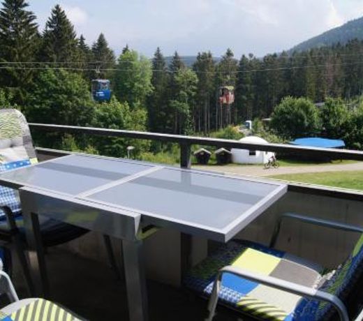 Ferienwohnung Downhill am Bocksberg