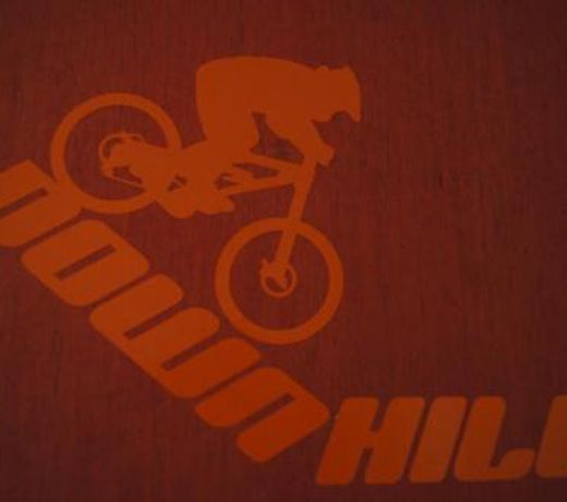 Ferienwohnung Downhill am Bocksberg