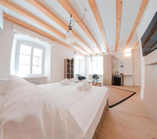 Tergestroom & boutique apartments