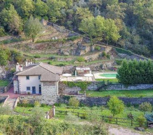 Mulino Cintoia