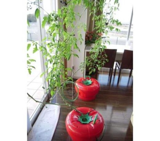 Wind City Hotel - Vacation STAY 81478
