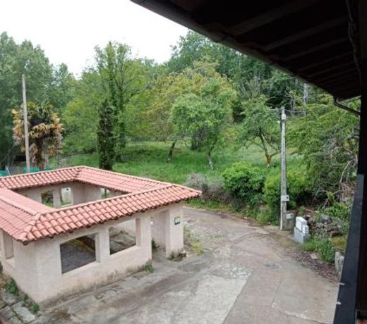 EL MOLINO
