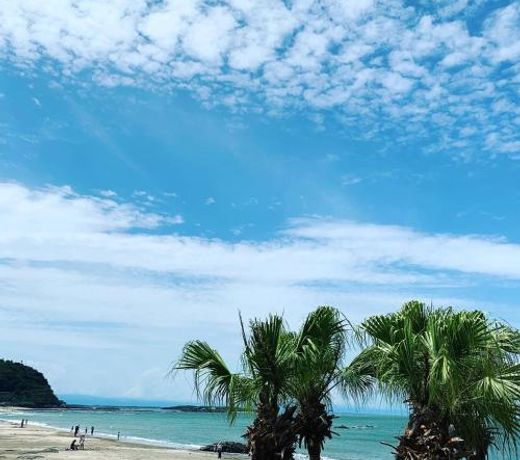 SHIRAHAMA BEACH GARDEN